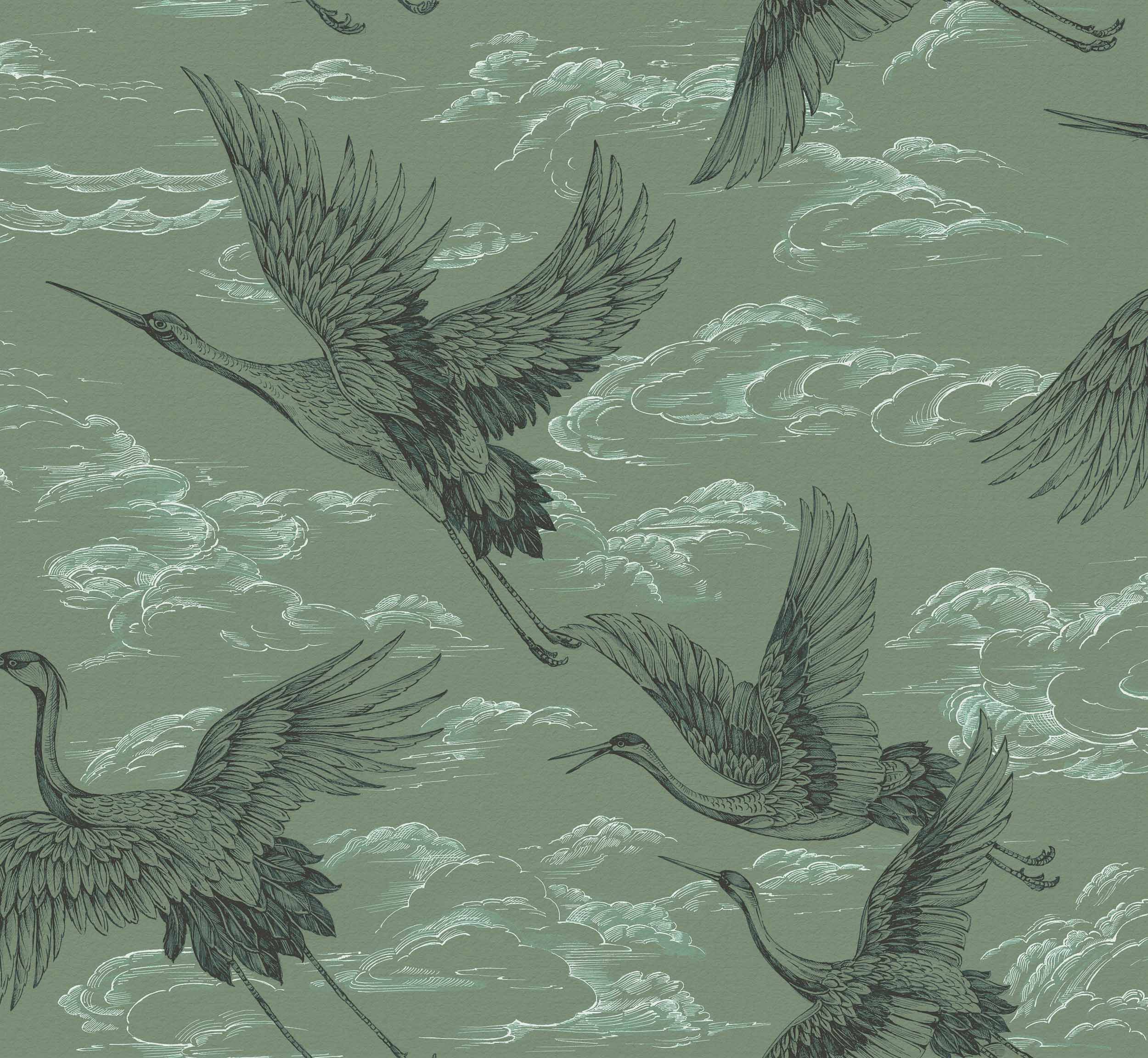 Imperial Ibis, Jade, Coordonne 5mp / rola